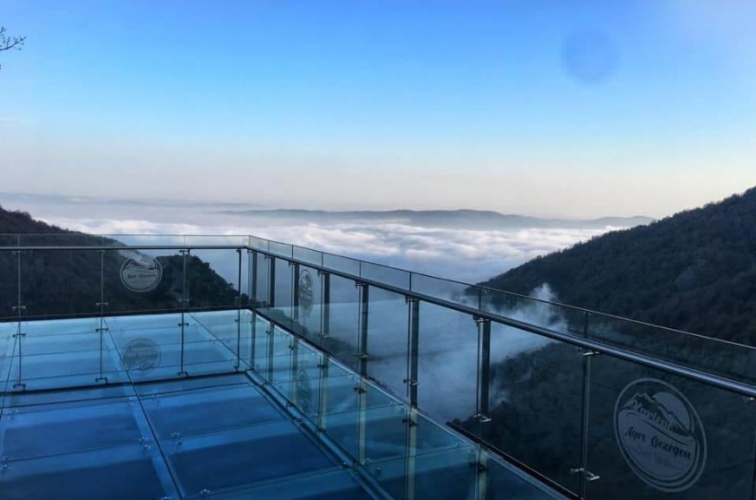 Günübirlik Doğanın Kalbine Yolculuk: Sapanca & Ormanya Turu!