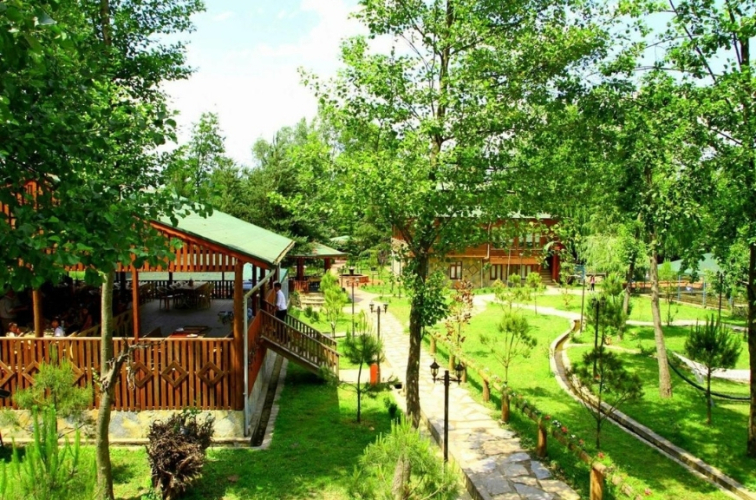 Günübirlik Doğanın Kalbine Yolculuk: Sapanca & Ormanya Turu!