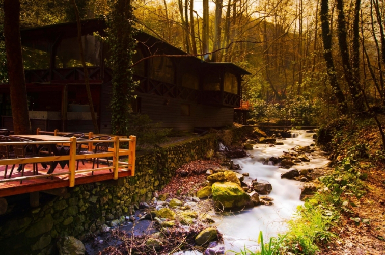 Günübirlik Doğanın Kalbine Yolculuk: Sapanca & Ormanya Turu!