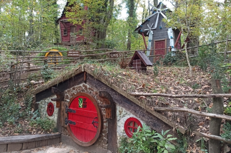 Günübirlik Doğanın Kalbine Yolculuk: Sapanca & Ormanya Turu!